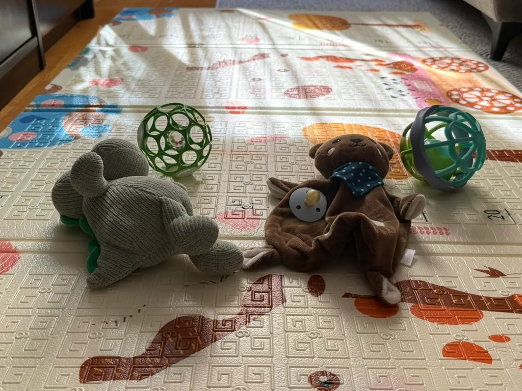 Baby toys and plushies on a play mat